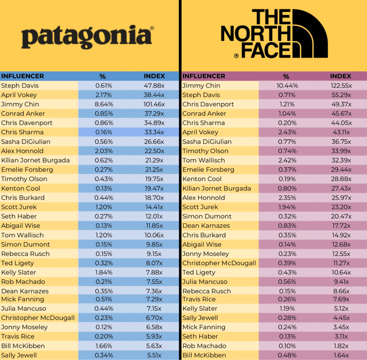 patagonia the north face