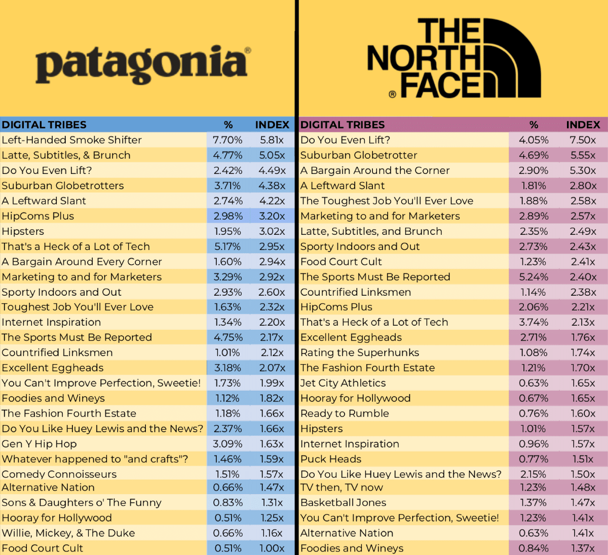 the north face patagonia